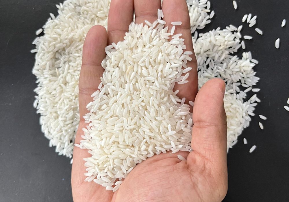 IR 64 Raw Rice 5 Broken