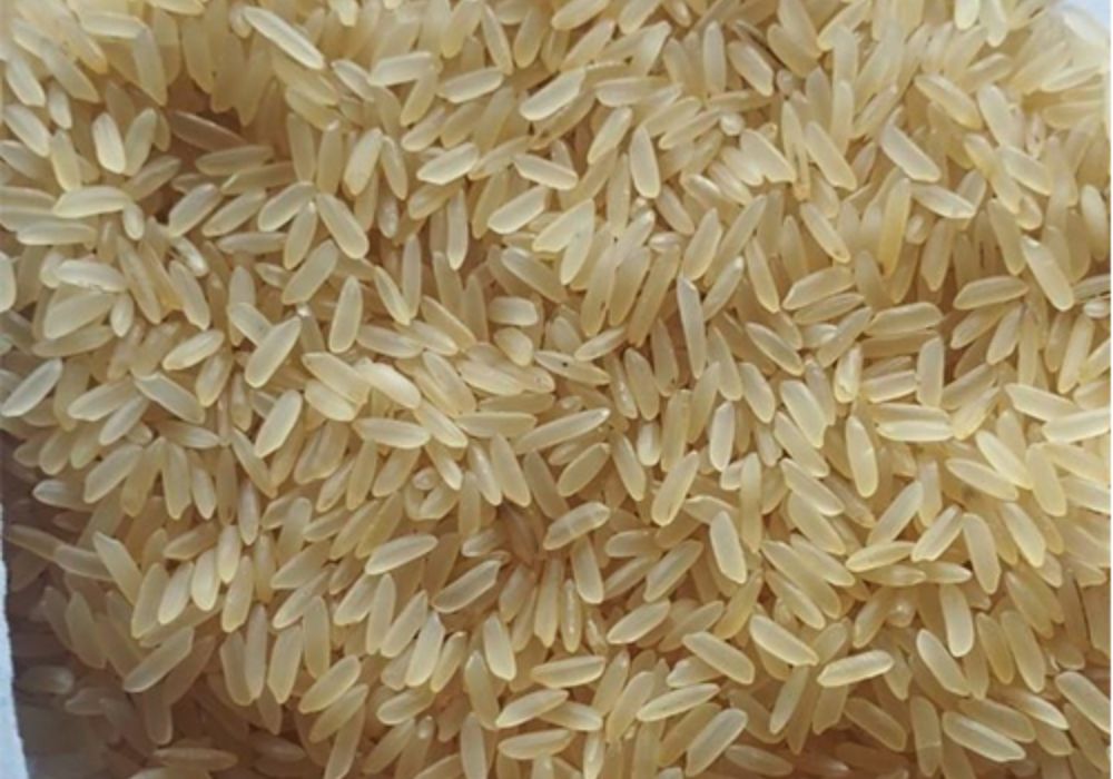 Ir 64 5 Broken Parboiled Rice