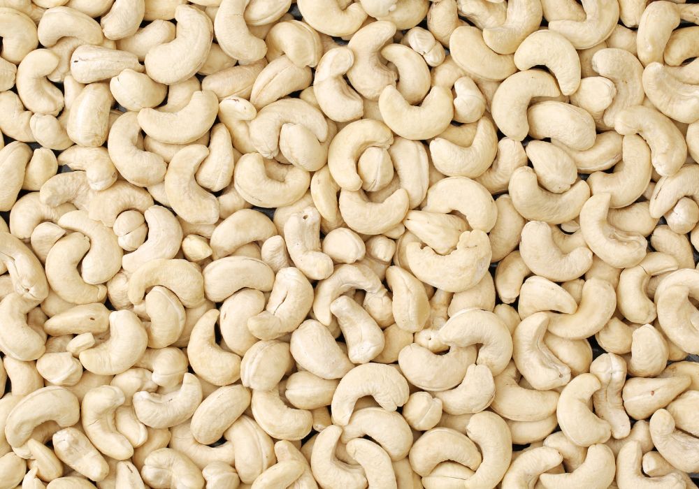 Cashew